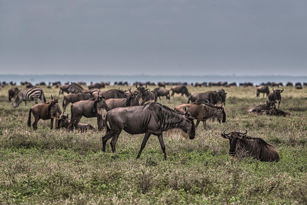 ngorongoro crater