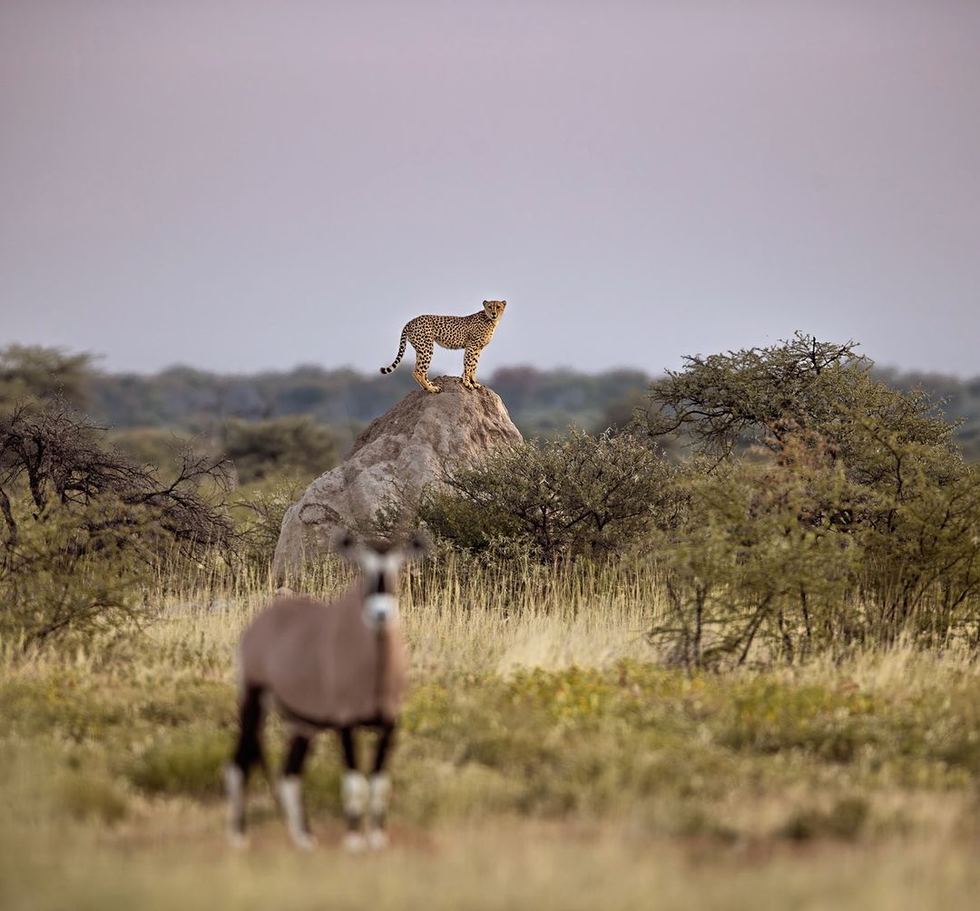 tarangire national park